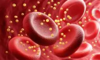 Harvard Scientist Stunned: Oreos Surpass Statins in Lowering His Cholesterol