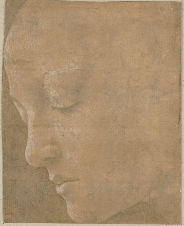 Botticelli's Art of the Line exhibit