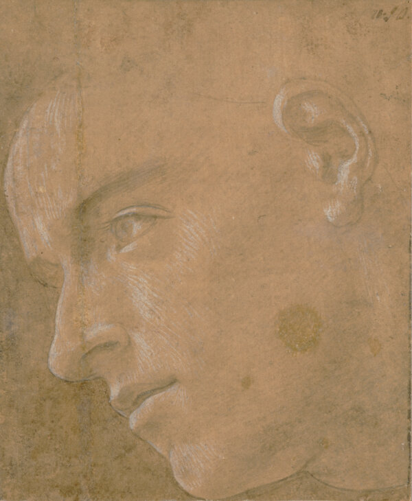 Botticelli's Art of the Line exhibit