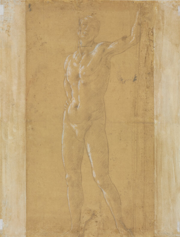 Botticelli's Art of the Line exhibit