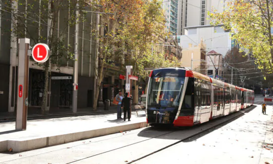 NZ Government Scraps Auckland Light Rail to Stem $14 Billion Cost Blowout