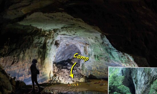 Villager Finds Colossal Cave System Deep in Jungles of Vietnam—So Huge It Fits a Football Stadium