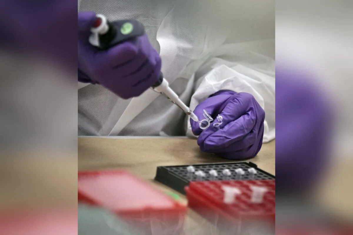 DNA testing is preformed at a lab in New York, on April 15, 2014. (The Canadian Press/AP-Bebeto Matthews)