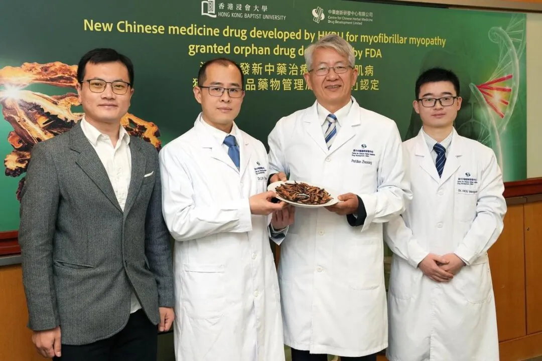 HKBU Associate Vice-President (Chinese Medicine Development) and Director of the Centre for Chinese Herbal Medicine Drug Development at HKBU (2nd R), Assistant Director (Administration) of the Centre for Chinese Herbal Medicine Drug Development Lin Chengyuan (2nd L), Postdoctoral Researcher Fellow Hou Mengyang (1st R) and Senior Regulatory Affairs Manager Duan Zhigang (1st L) introduce a new drug made from the effective components of Chaenomeles fructus to treat myofibrillar myopathy. (HKBU photo)