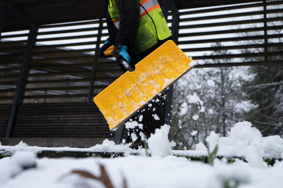 A city worker shovels snow at Queen Elizabeth Park in Vancouver, B.C., on Jan. 8, 2024. (The Canadian Press/Ethan Cairns)
