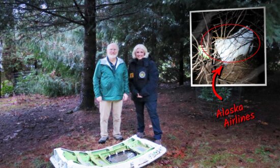 Science Teacher Finds Airliner Door That Blew Out of Alaska Flight, Fell in His Backyard in Oregon