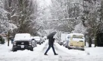 Snow Shuts Metro Vancouver and Fraser Valley Schools as Alerts Blanket Southern BC