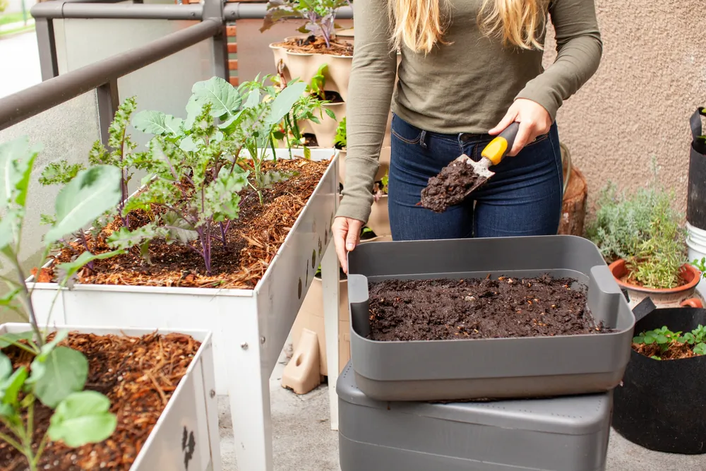 Worm compost can be a valuable soil amendment for your garden. (Ashley-Belle Burns/Shutterstock)
