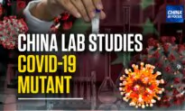 Chinese Lab Tests Mutant COVID-19 Strain