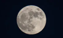 Moon Shrinkage Causing Massive Quaking: What It Means for Space Exploration
