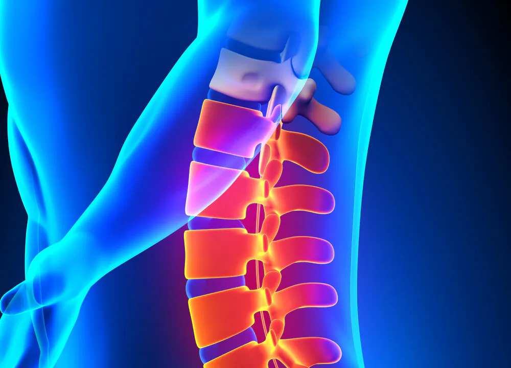 (decade3d - anatomy online/Shutterstock)