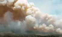 Nova Scotia Man Charged With Igniting Massive Barrington Lake Wildfire
