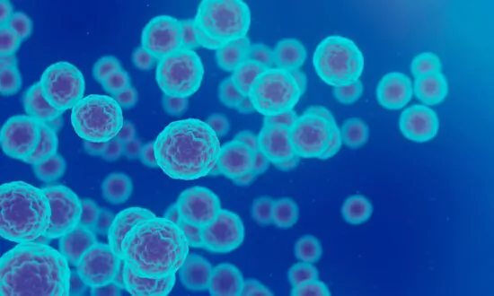 Prostate and Thyroid Cancers May Be Linked to HPV: Insights for Prevention