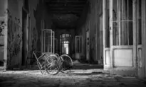 The Case of Typhoid Mary