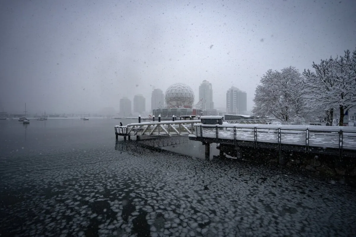 A person looks out to a partially frozen False Creek during a snowstorm in Vancouver on Jan. 17, 2024. (The Canadian Press/Ethan Cairns)