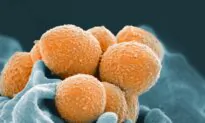 Four Children With Strep A Have Died in BC in the Past Month, Disease Centre Says