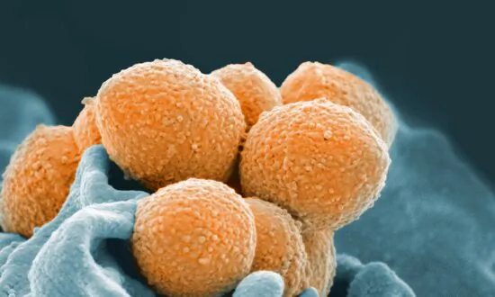 Four Children With Strep A Have Died in BC in the Past Month, Disease Centre Says