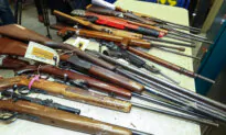 ‘$45 per Gun’: Senator Concerned at Cost of National Gun Register