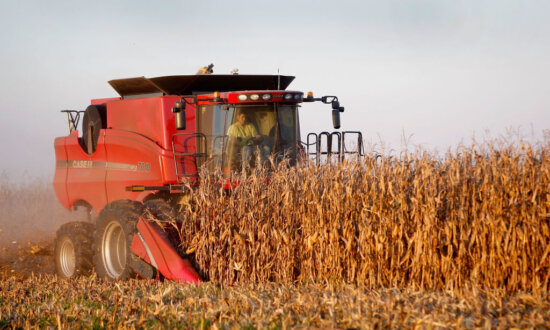 Federal Agencies in the Dark About China’s US Farmland Purchase, New Report Reveals