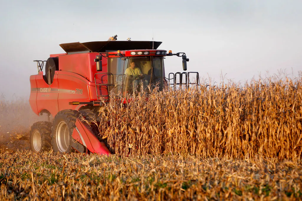 A farm near Carmi, Ill., on Oct. 4, 2008. (Scott Olson/Getty Images)