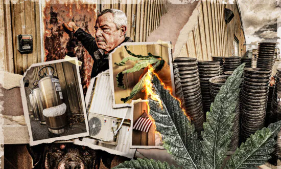 One Man’s Mission to Crack Open Maine’s Chinese Illegal Marijuana Industry