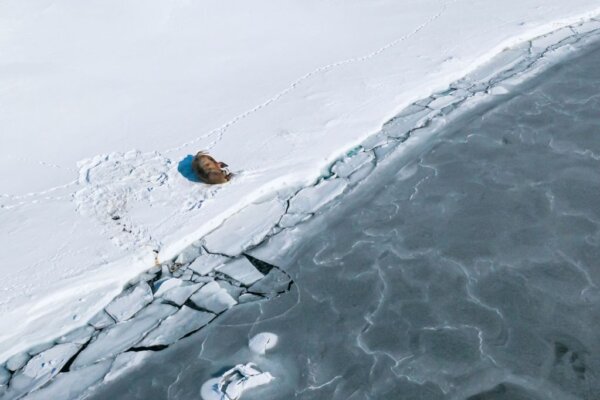 Epoch Times Photo