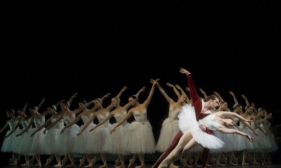 Dancing Swans: 'The Dying Swan' Versus 'Swan Lake'