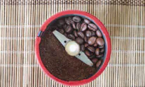 This Simple Trick Makes Better Coffee, Study Says