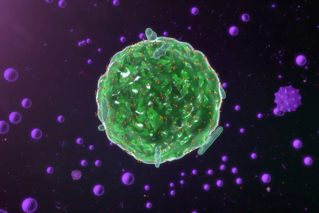 (sciencepics/
shutterstock)