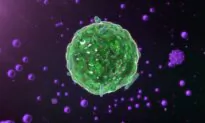 Demystifying Mast Cell Activation Syndrome