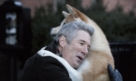 'Hachi, a Dog's Tale': Love Is Nothing If It Isn't Loyal