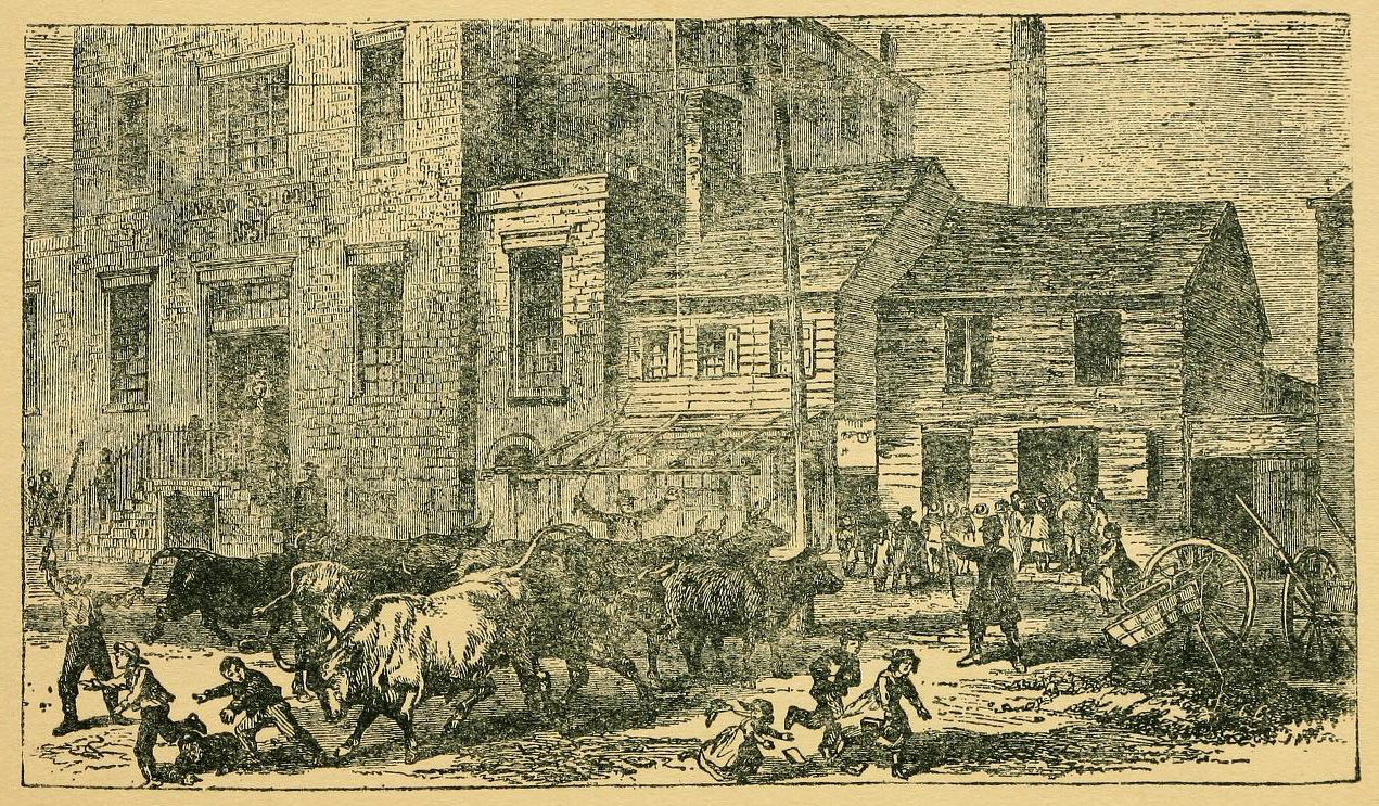 Public school adjoining slaughter, 1865
