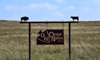 Judge Orders Wind Farm Dismantled in Win for Tribal Sovereignty