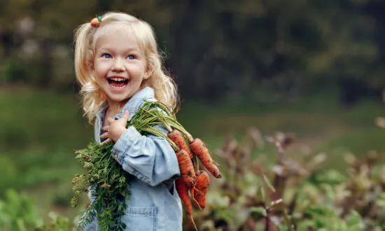 A Carrot a Day May Keep Cancer Away: Study
