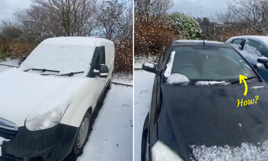 VIDEO: Delivery Driver Reveals Genius Hack That Stops His Car’s Windshield From Freezing Overnight