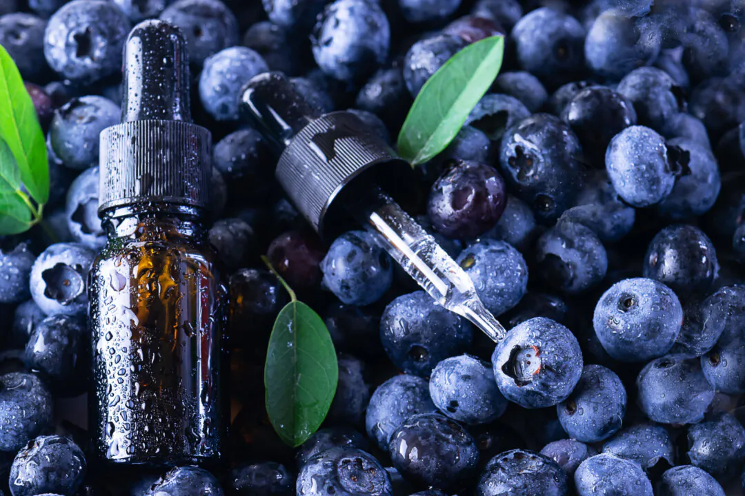 (Iryna Pohrebna/Shutterstock)
