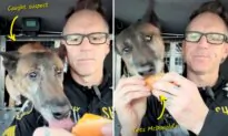 VIDEO: Officer and K9 Partner Go Viral Bonding Over Lunch—Sharing Burgers, Fries, Burritos