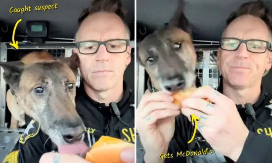 VIDEO: Officer and K9 Partner Go Viral Bonding Over Lunch—Sharing Burgers, Fries, Burritos