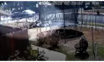 Fake Hit-and-Run Scam Caught on Video