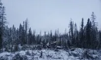 Transportation Safety Board Continues to Probe Deadly Northern Airplane Crash