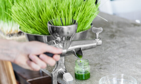 Wheatgrass: A Nutrient-rich and Controversial Treatment for Gut Health