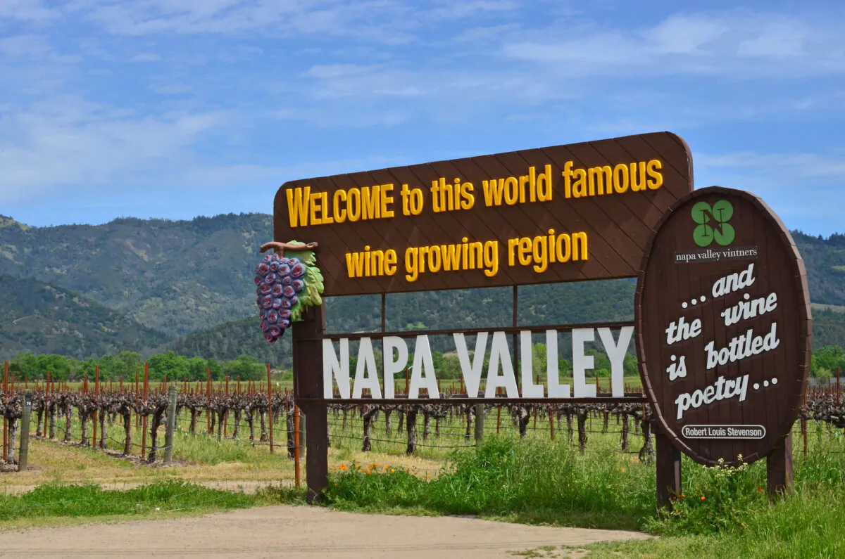 Napa, California, is trending at the top of destination wish lists. (Ana Carolina Reina/Dreamstime/TNS)