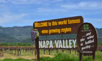 Tripadvisor’s Top 10 Trending Destinations Include Napa, St. Petersburg and Homer, Alaska