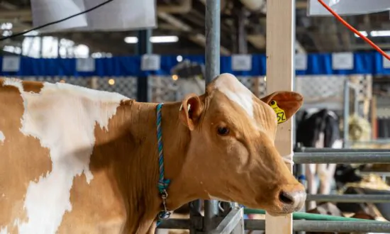 2024 Pennsylvania Farm Show