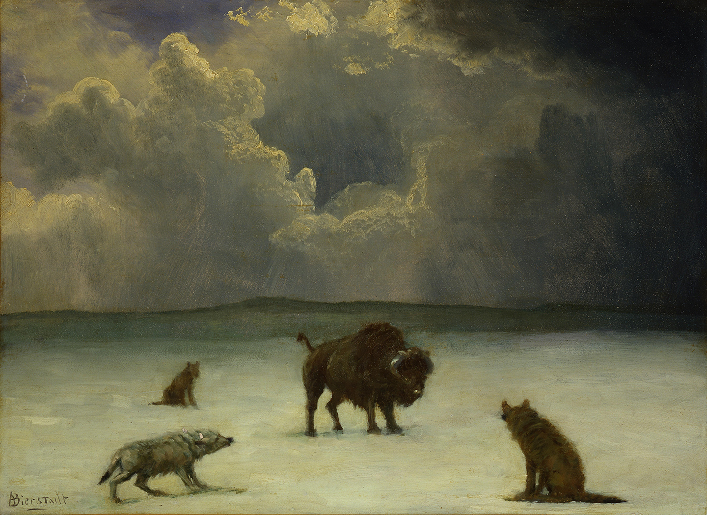 Trapped by Bierstadt