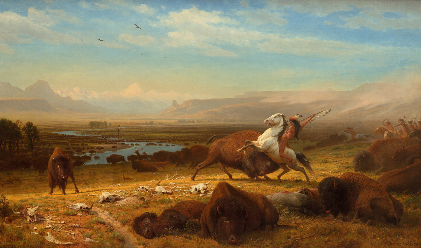 Bierstadt Buffalo