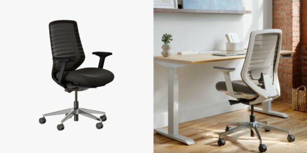 Branch Ergonomic Chair