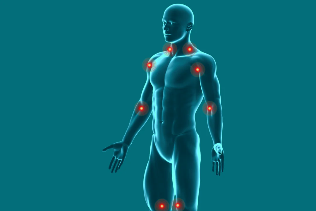 (decade3d - anatomy online/Shutterstock)