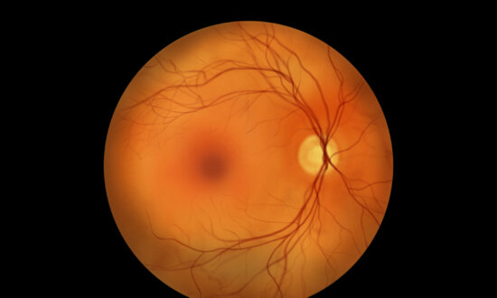 Macular Degeneration: Treatments to Stop Vision Loss Revealed