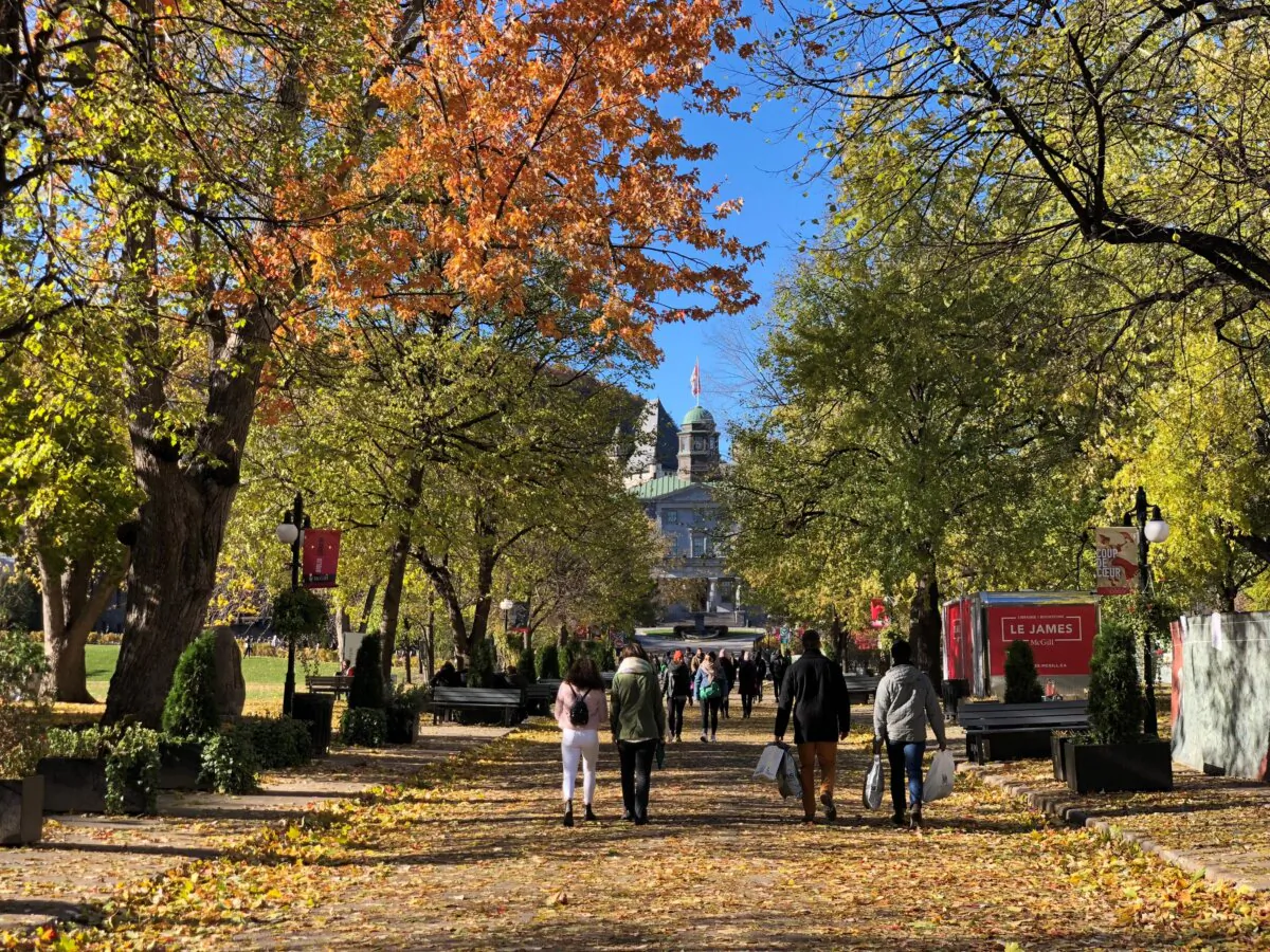The main campus of McGill University is seen in Montreal on Nov. 4, 2018. (Daniel Slim/AFP via Getty Images)